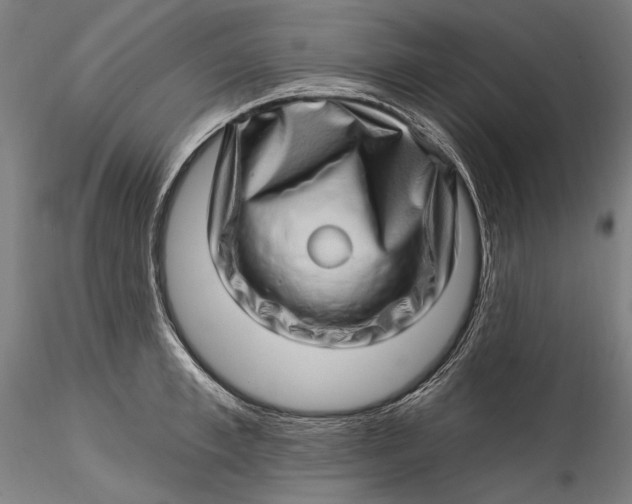 X0000115520997200911271319