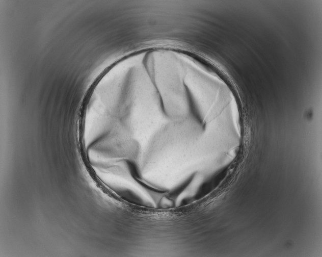 X0000115520999200911271319