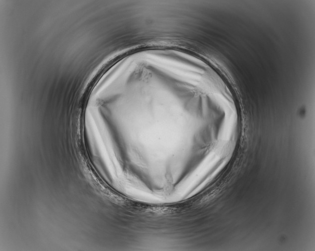 X0000115521000200911271319