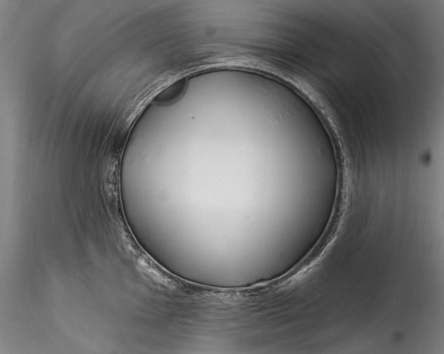 X0000115521001200911271319