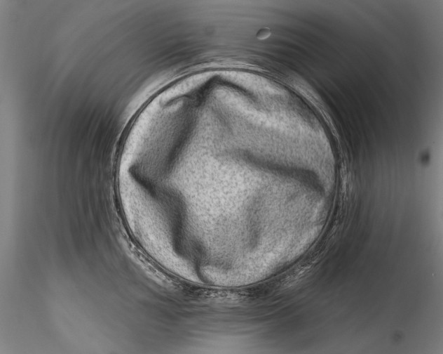 X0000115521002200911271319