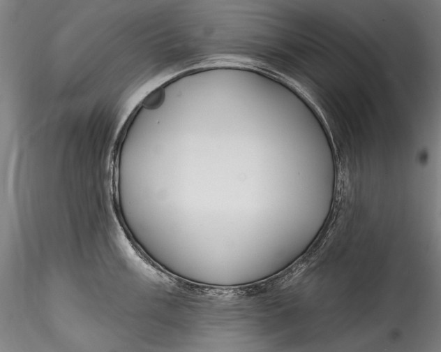 X0000115521003200911271318