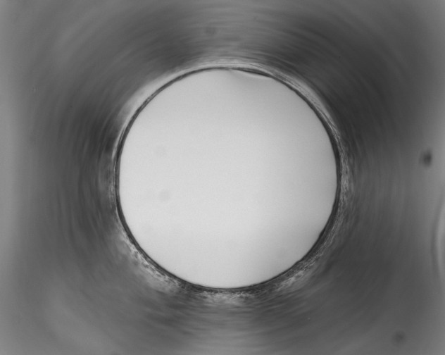 X0000115521004200911271318