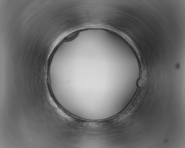 X0000115521005200911271318