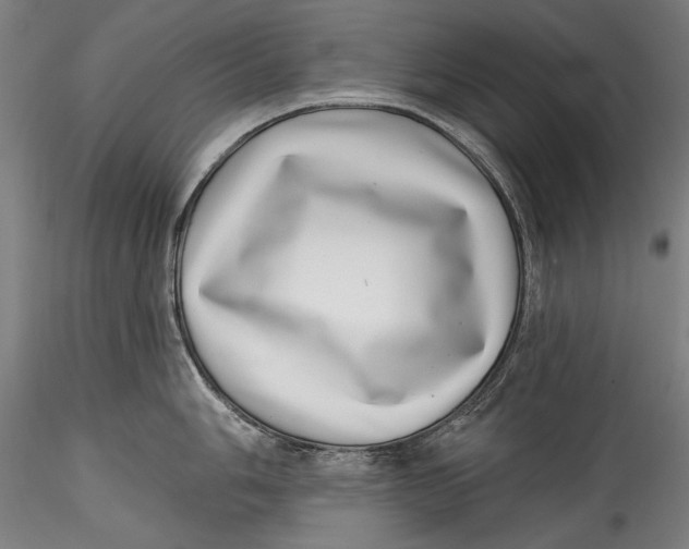 X0000115521006200911271318