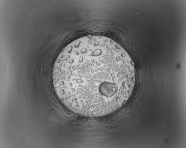 X0000115521009200911271318