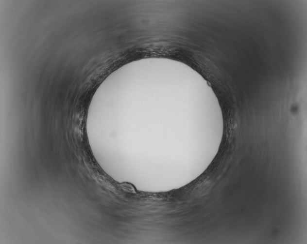 X0000115521010200911271318