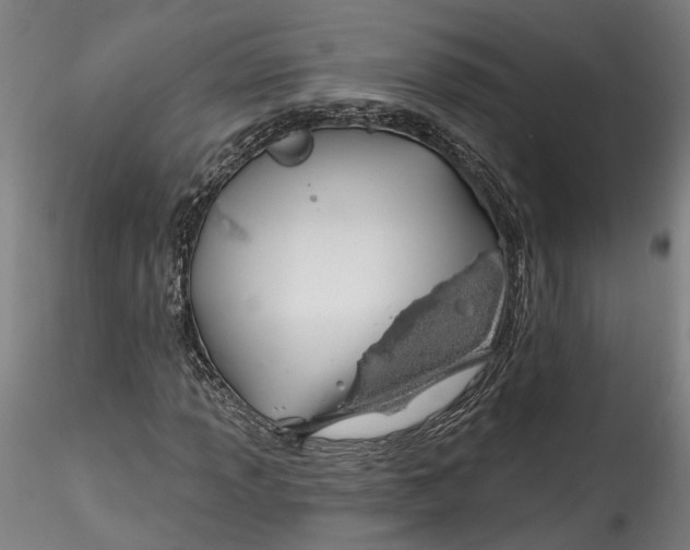 X0000115521013200911271318