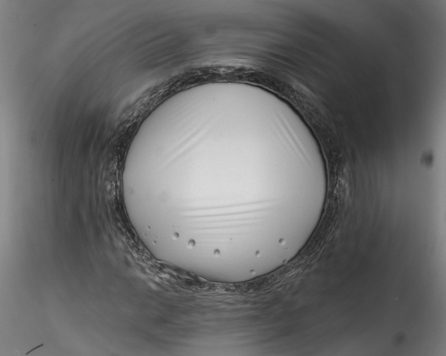 X0000115521014200911271318