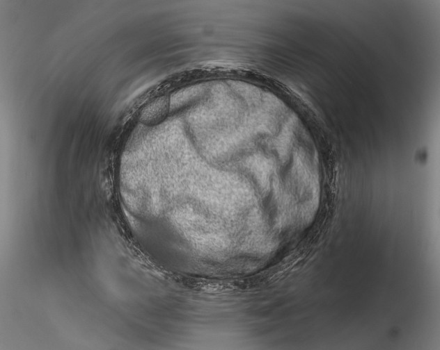 X0000115521015200911271318