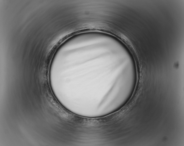 X0000115521019200911271318