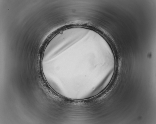 X0000115521021200911271318