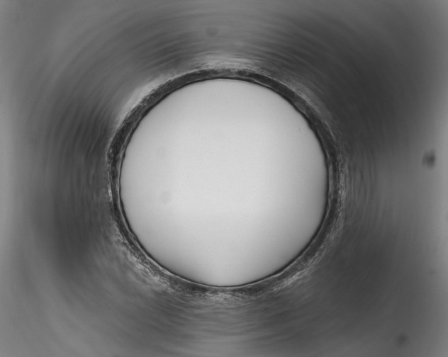 X0000115521022200911271318