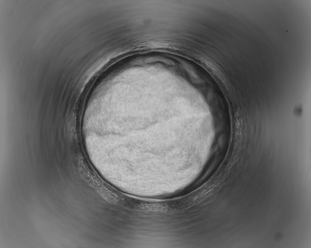 X0000115521023200911271318