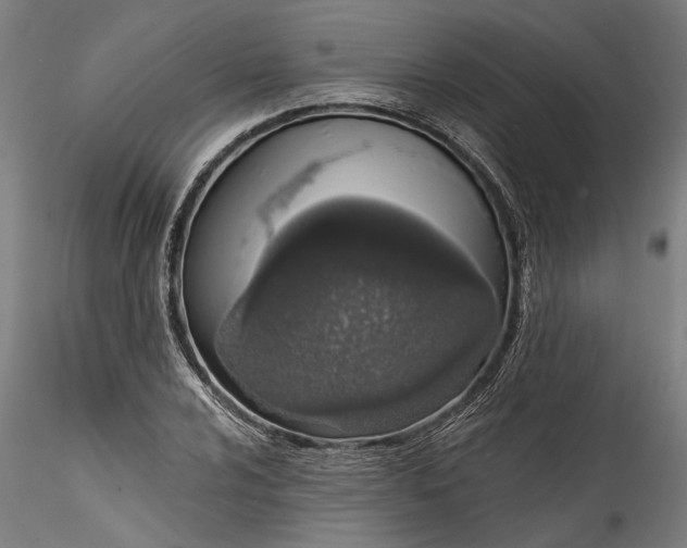 X0000115521024200911271318