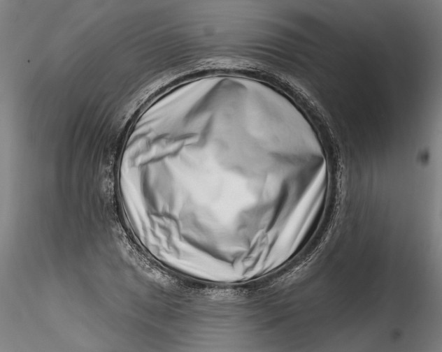 X0000115521025200911271318