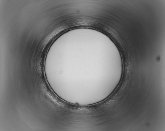 X0000115521026200911271318