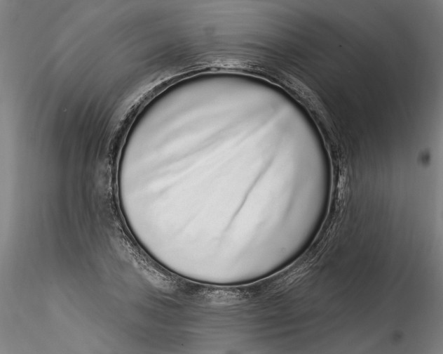 X0000115521027200911271318