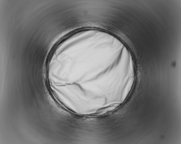 X0000115521028200911271318