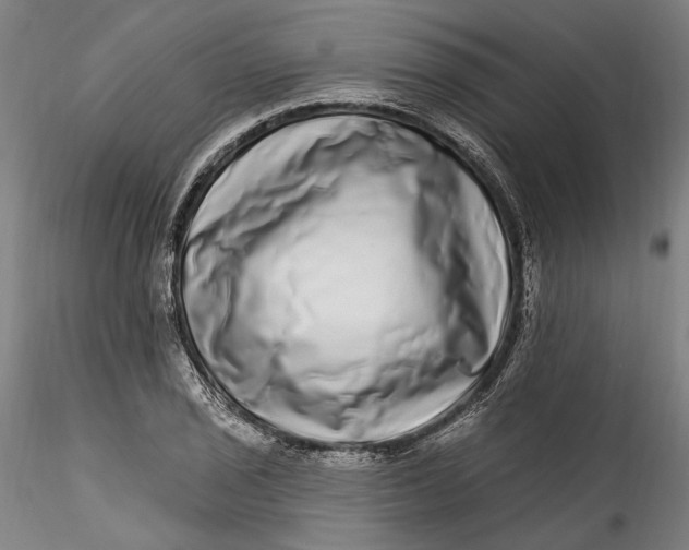 X0000115521029200911271318