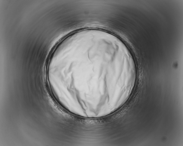 X0000115521032200911271318