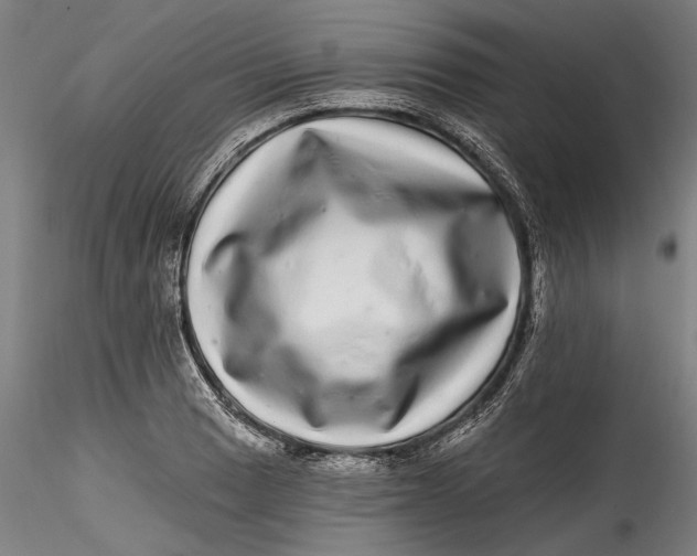 X0000115521033200911271318