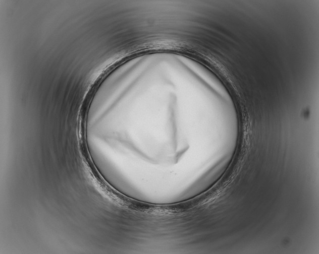 X0000115521034200911271318