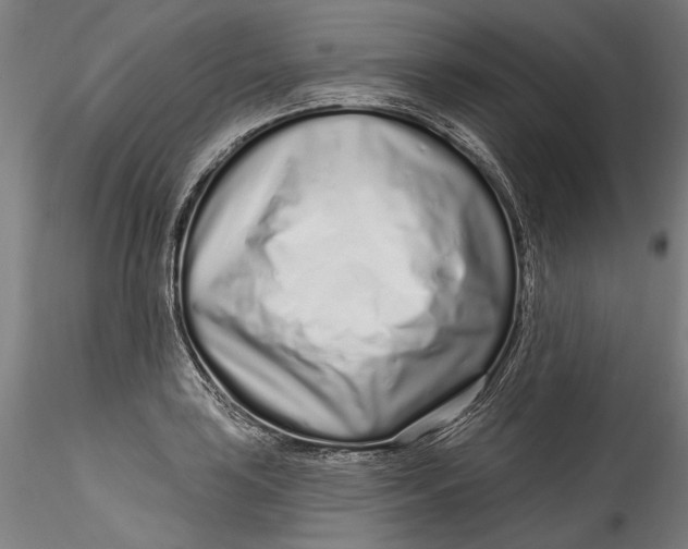 X0000115521035200911271318