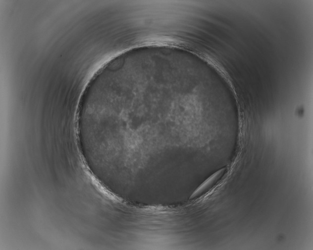 X0000115521037200911271318