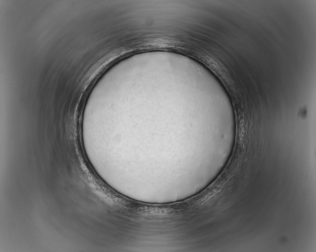 X0000115521039200911271318