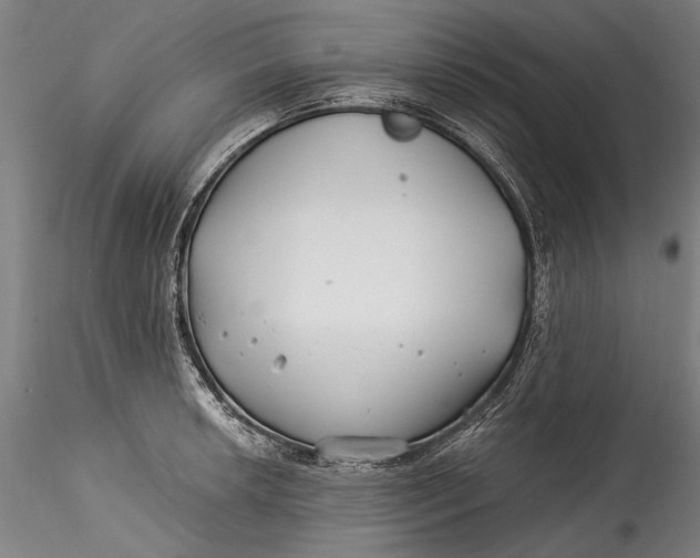 X0000115521042200911271318