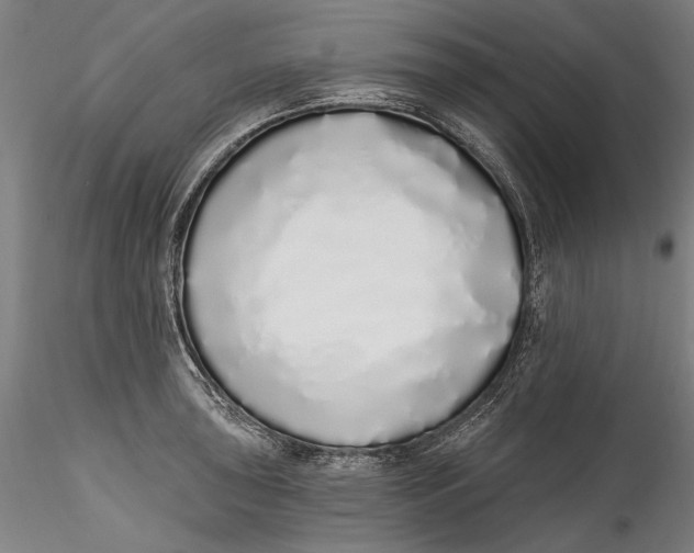 X0000115521043200911271318