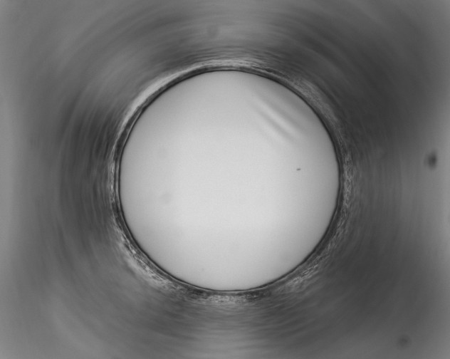 X0000115521044200911271318