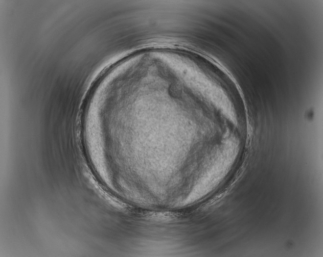 X0000115521045200911271318