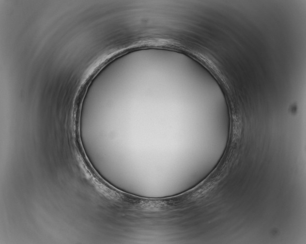 X0000115521046200911271318