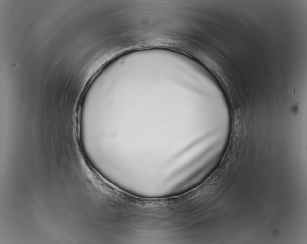 X0000115521047200911271318