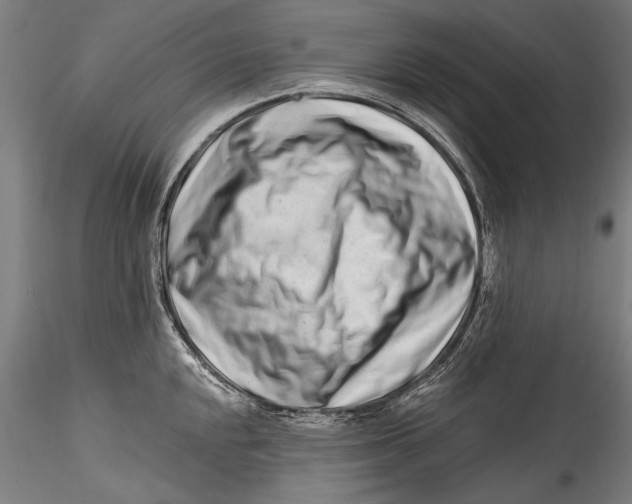 X0000115521048200911271318