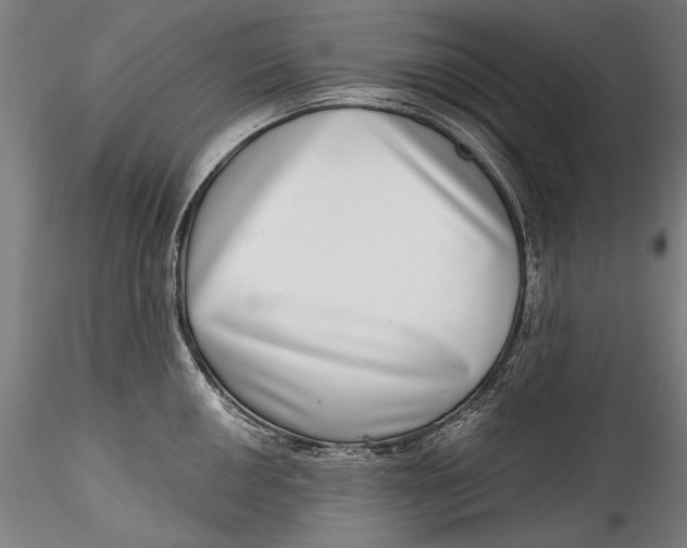 X0000115521050200911271318