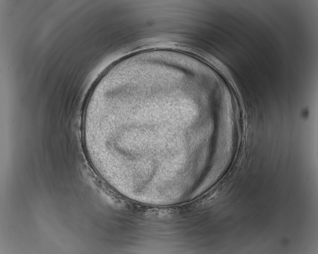 X0000115521051200911271318