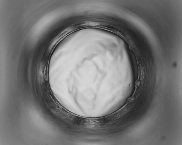 X0000115521052200911271318