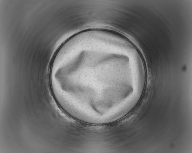 X0000115521053200911271318