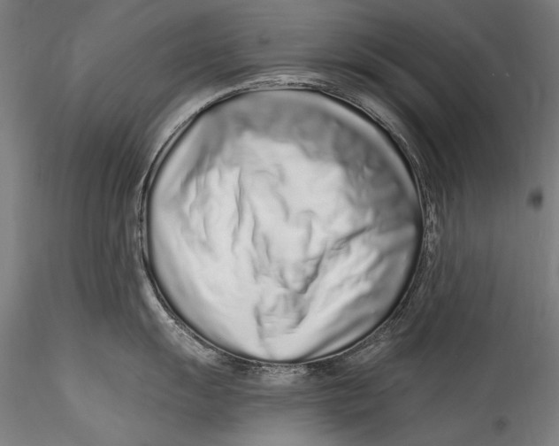 X0000115521055200911271318