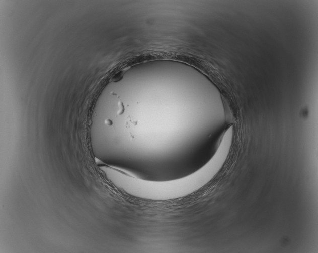 X0000115521057200911271318