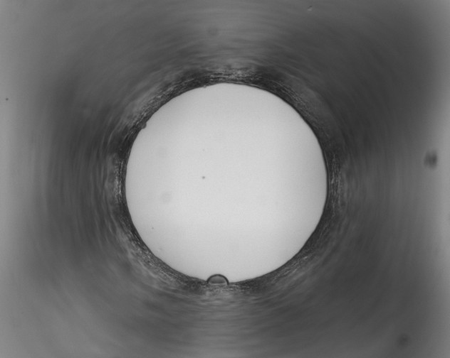 X0000115521058200911271318