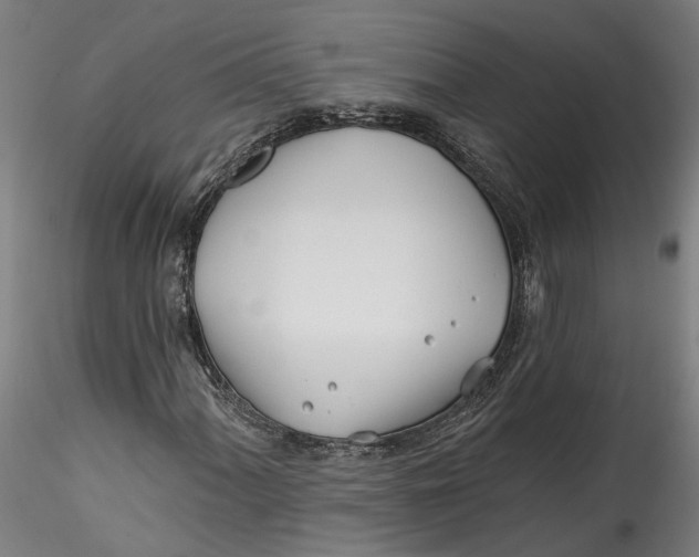 X0000115521060200911271318