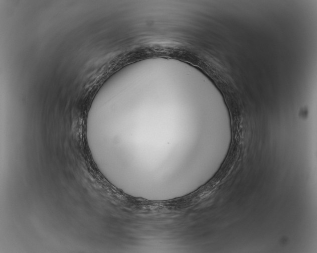 X0000115521061200911271318