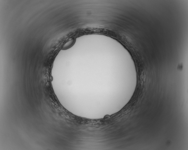 X0000115521062200911271318