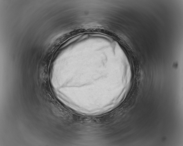 X0000115521063200911271318