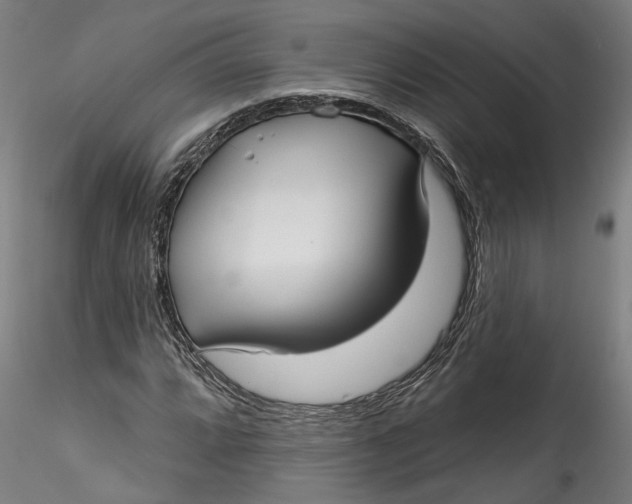 X0000115521064200911271318