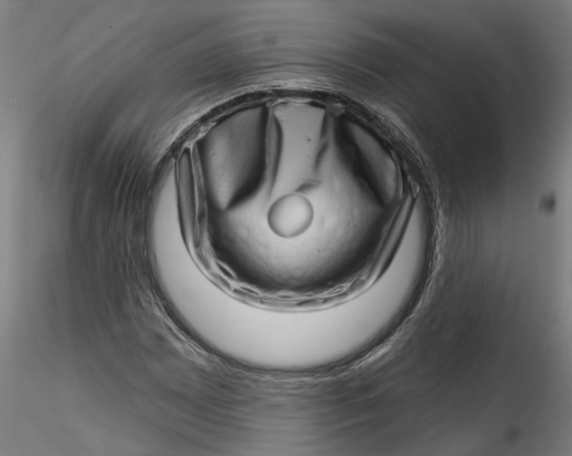 X0000115521065200911271318